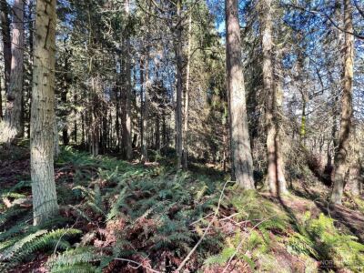 9999 S Sequim Ave Parcel B , Sequim, WA 98382 - Photo 8