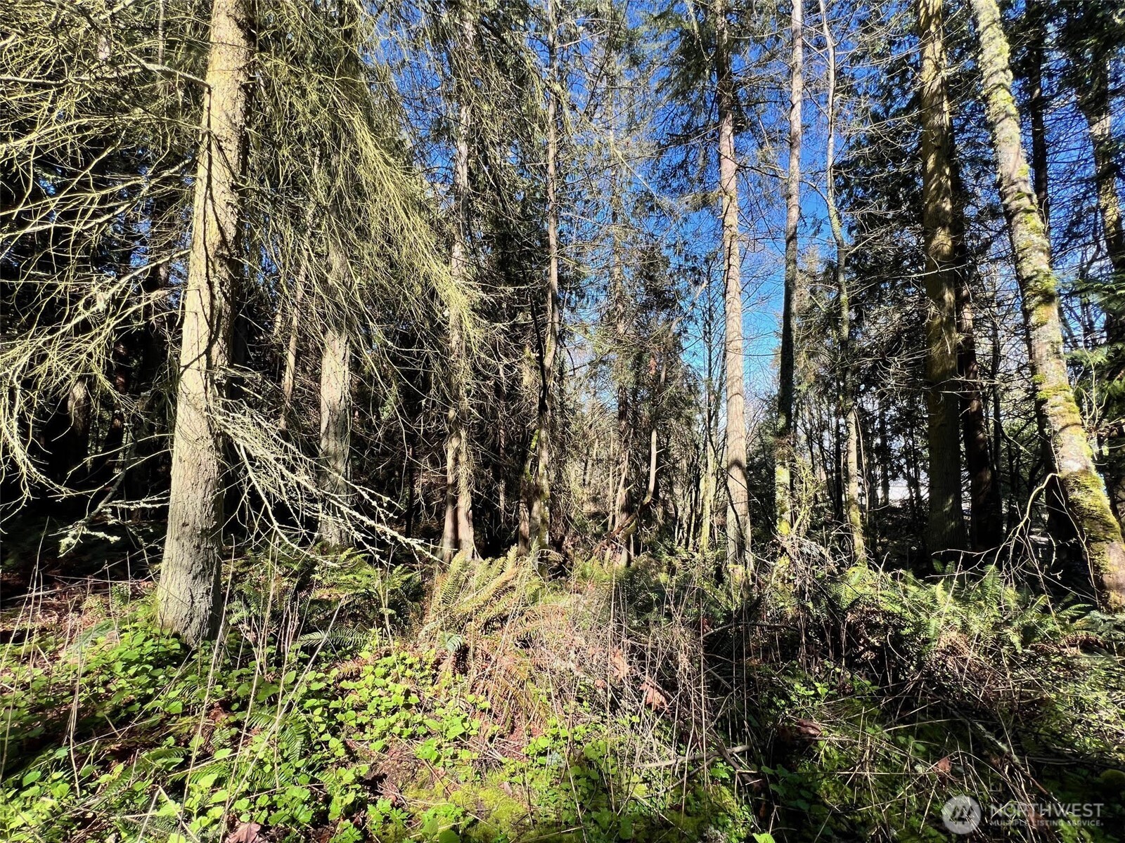 9999 S Sequim Ave Parcel B , Sequim, WA 98382