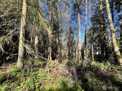 9999 S Sequim Ave Parcel B , Sequim, WA 98382 - Photo 9