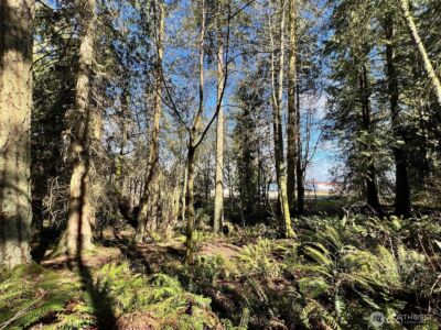 9999 S Sequim Ave Parcel B , Sequim, WA 98382 - Photo 10