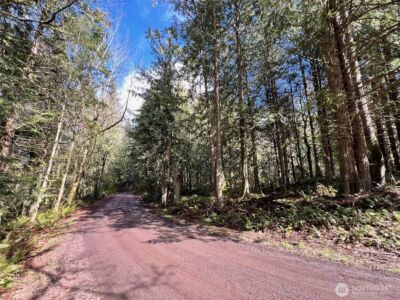 9999 S Sequim Ave Parcel C , Sequim, WA 98382 - Photo 6