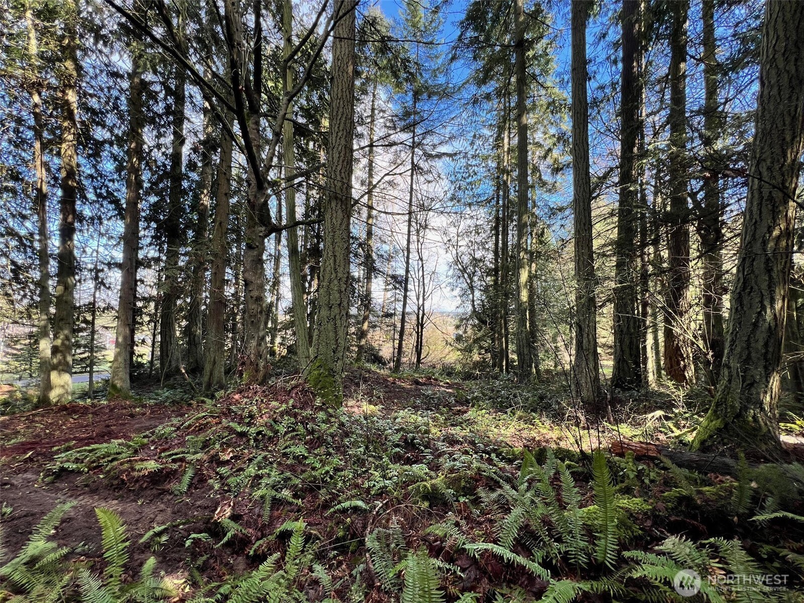 9999 S Sequim Ave Parcel C , Sequim, WA 98382