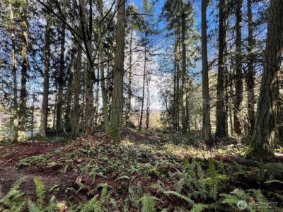 9999 S Sequim Ave Parcel C , Sequim, WA 98382 - Photo 7