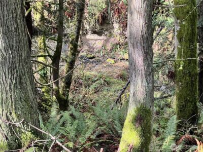 9999 S Sequim Ave Parcel C , Sequim, WA 98382 - Photo 9