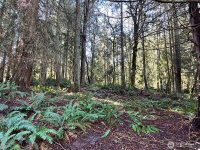 9999 S Sequim Ave Parcel C , Sequim, WA 98382 - Photo 10