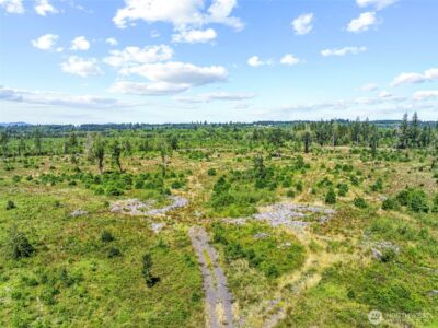 0 Sareault Road , Toledo, WA 98591 - Photo 1