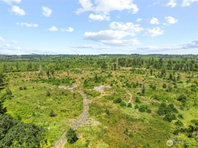 0 Sareault Road , Toledo, WA 98591 - Photo 2