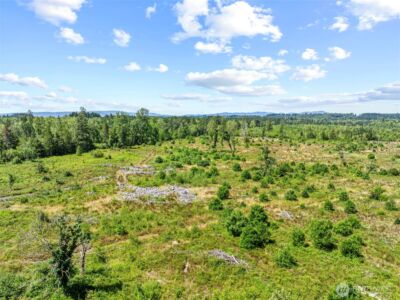 0 Sareault Road , Toledo, WA 98591 - Photo 4