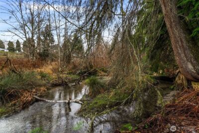 710 Z Street Se , Tumwater, WA 98501 - Photo 37