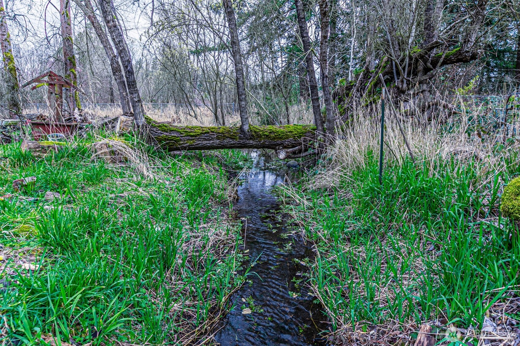 10424 48th Avenue E, Tacoma, WA 98446