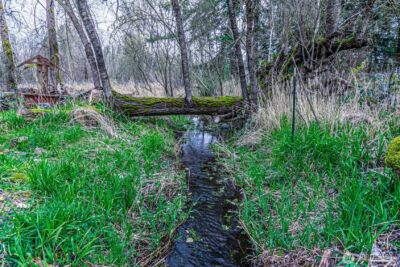 10424 48th Avenue E, Tacoma, WA 98446 - Photo 21