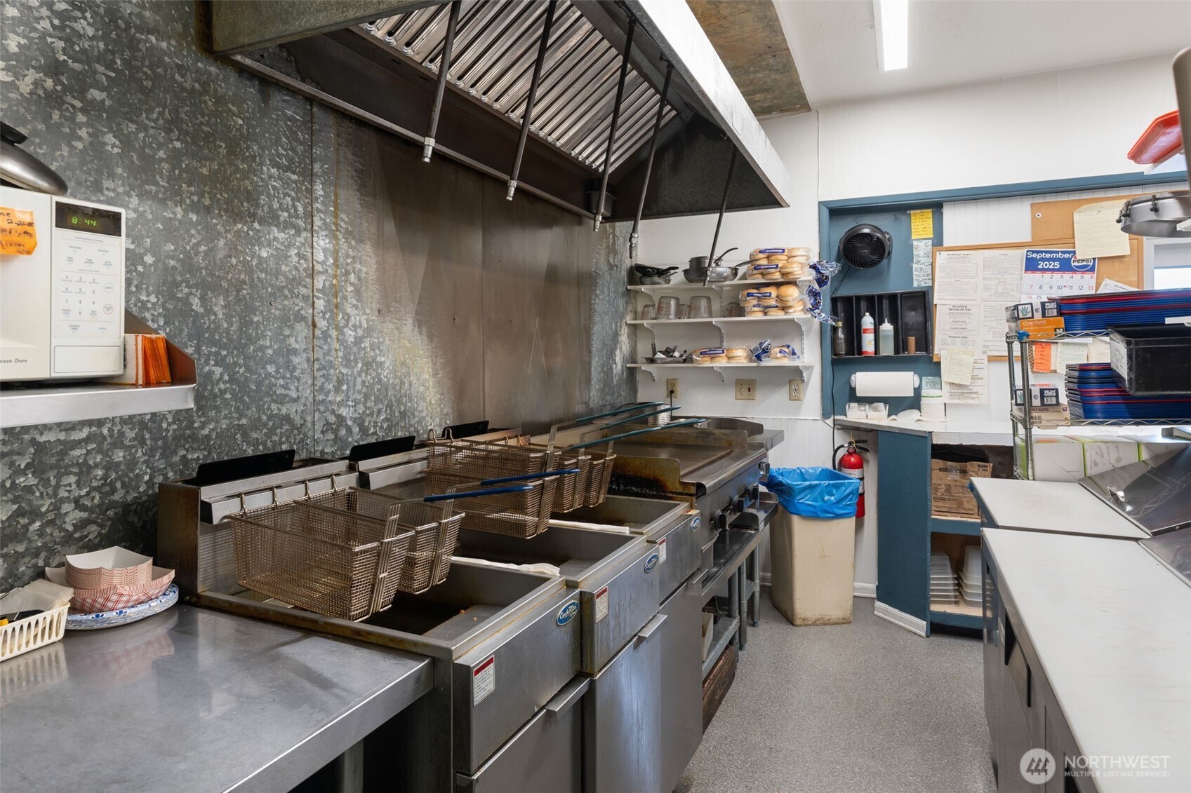 393 Cowlitz Ridge Road , Toledo, WA 98591