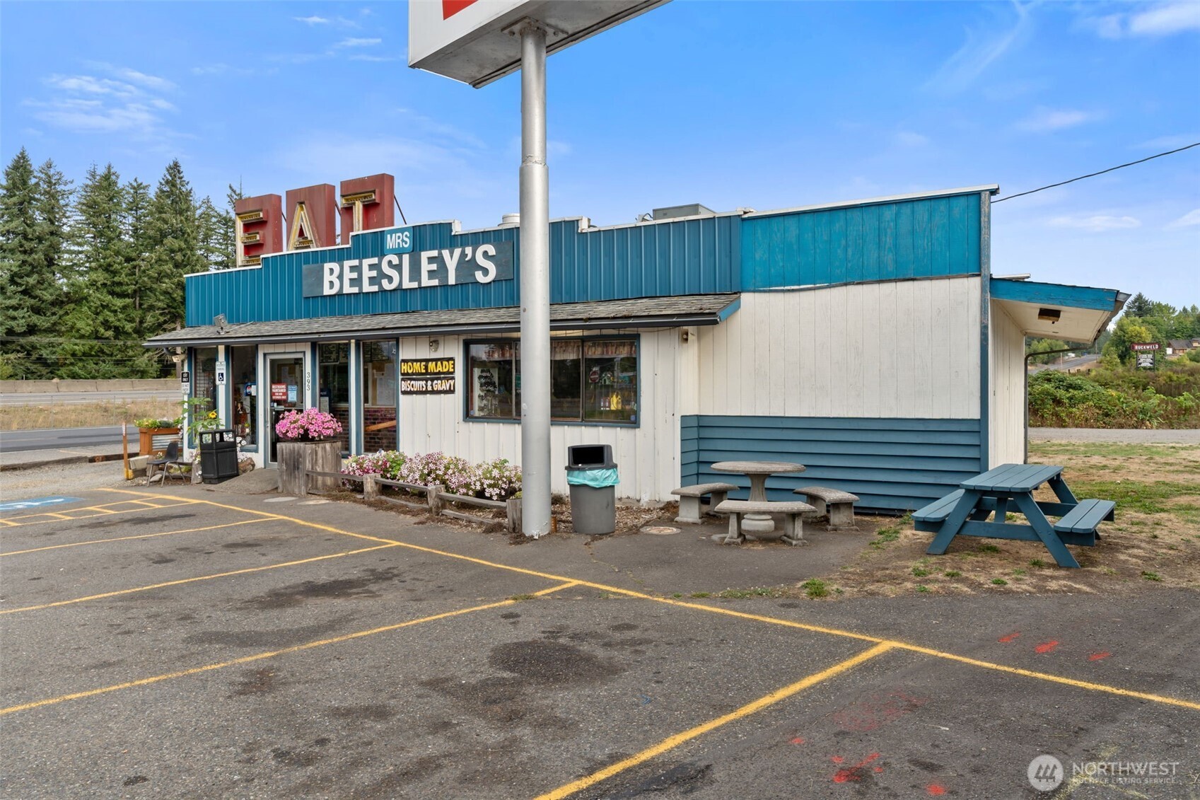 393 Cowlitz Ridge Road , Toledo, WA 98591