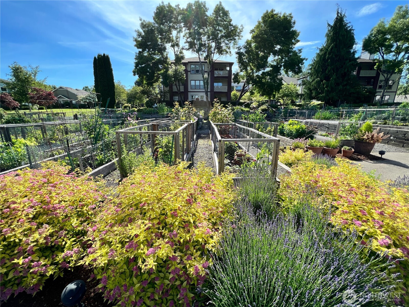 4228 221st Place SE #1083, Issaquah, WA 98029