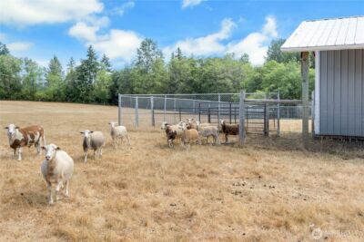 119 Sommerville Road , Chehalis, WA 98532 - Photo 37