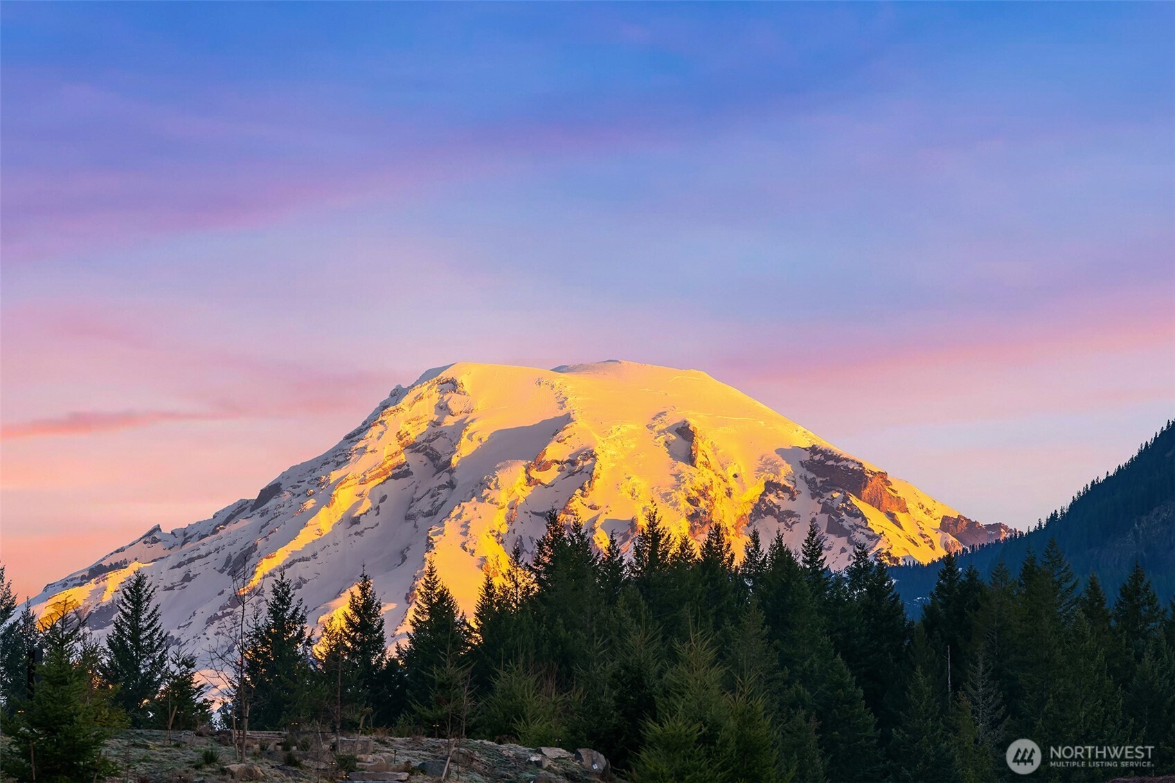 126 Burl Lane , Packwood, WA 98361