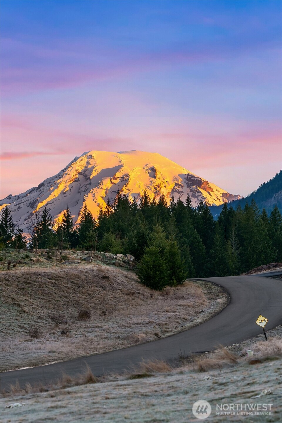 126 Burl Lane , Packwood, WA 98361