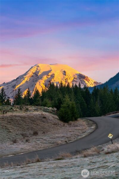 126 Burl Lane , Packwood, WA 98361 - Photo 40