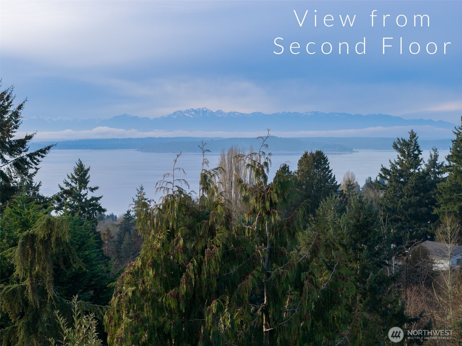 7233 36th Avenue SW, Seattle, WA 98126