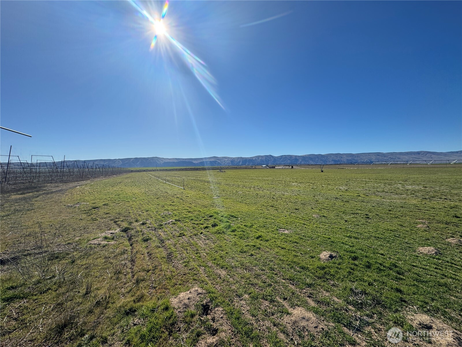 16002 Road 28 SW, Mattawa, WA 99349