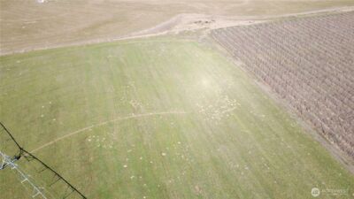 16002 Road 28 SW, Mattawa, WA 99349 - Photo 32