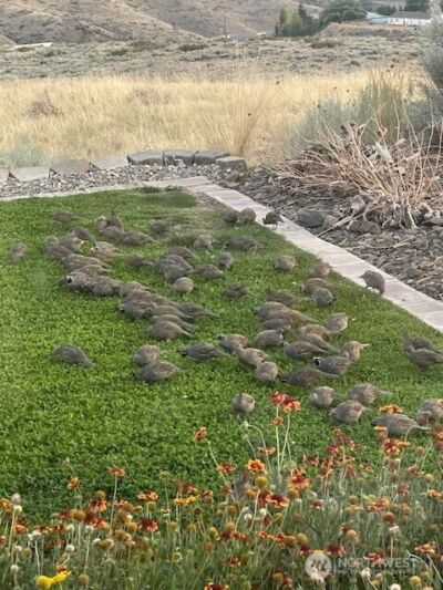 2312 Canyon Hills Drive , East Wenatchee, WA 98802 - Photo 38