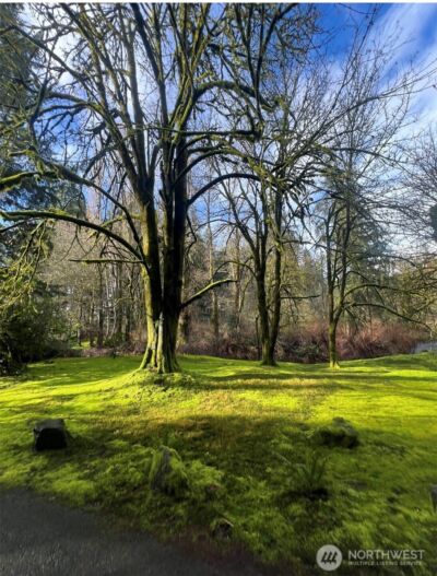 6817 79th Street W, Lakewood, WA 98499 - Photo 40