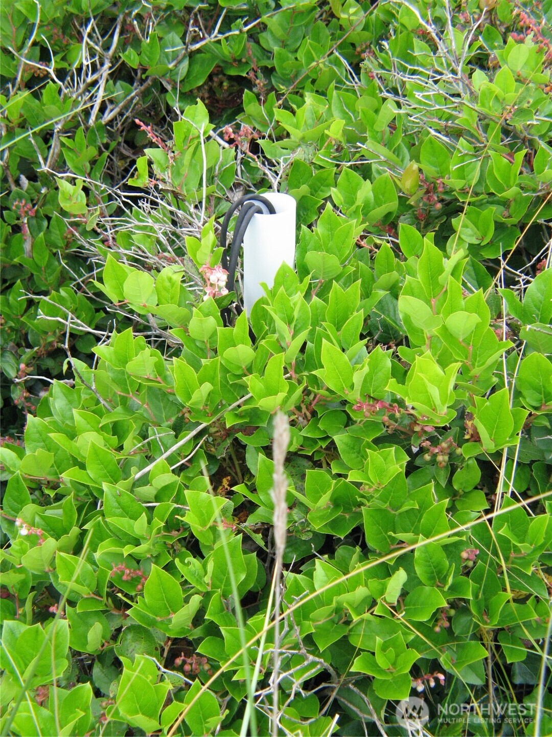 32307 H Place , Ocean Park, WA 98640