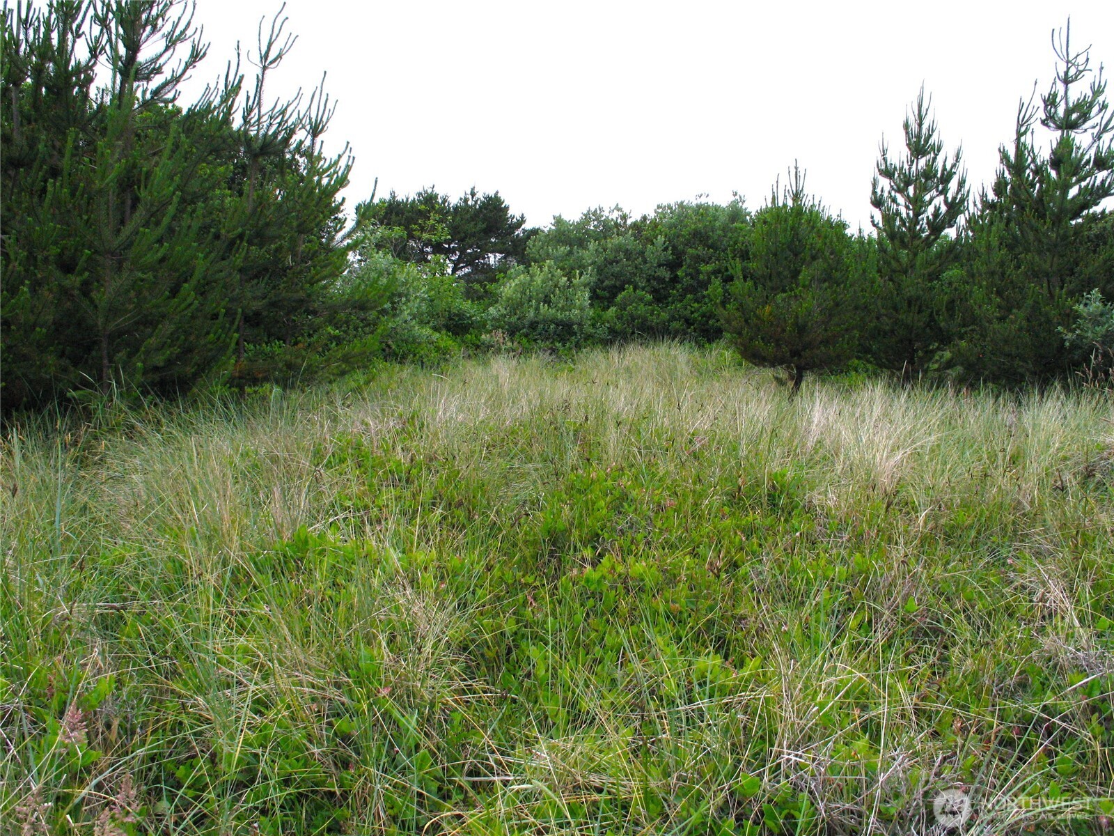 32307 H Place , Ocean Park, WA 98640