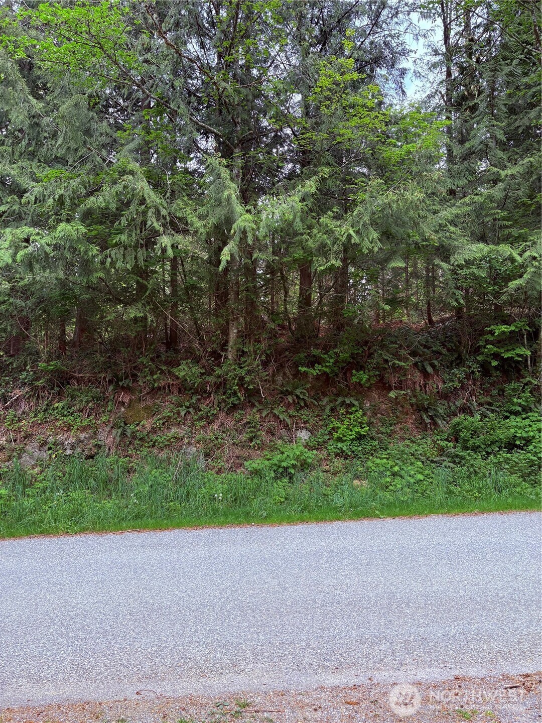 0 Lot 15 W Shore Drive , Lake Cavanaugh, WA 98274