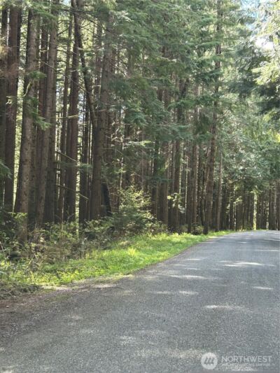 0 Lot 15 W Shore Drive , Lake Cavanaugh, WA 98274 - Photo 2