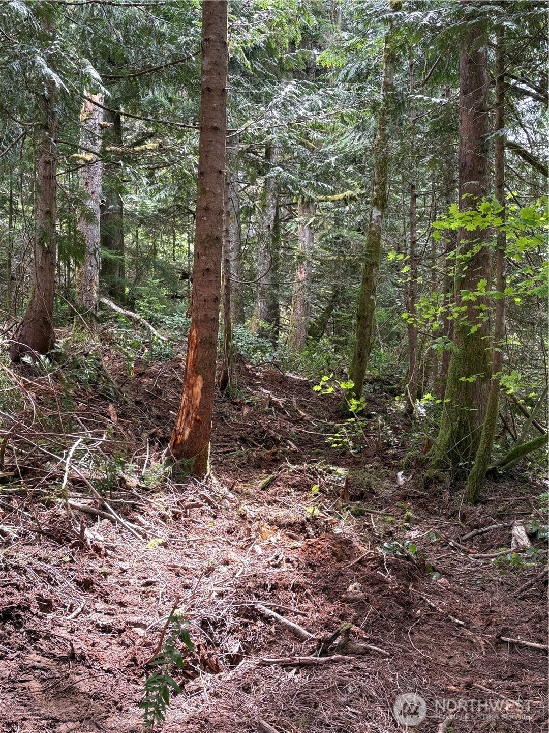 0 Lot 15 W Shore Drive , Lake Cavanaugh, WA 98274