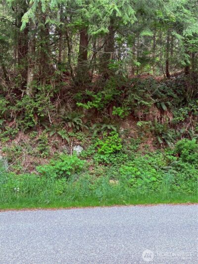 0 Lot 15 W Shore Drive , Lake Cavanaugh, WA 98274 - Photo 4
