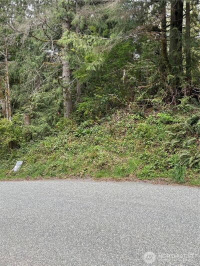 0 Lot 15 W Shore Drive , Lake Cavanaugh, WA 98274 - Photo 6