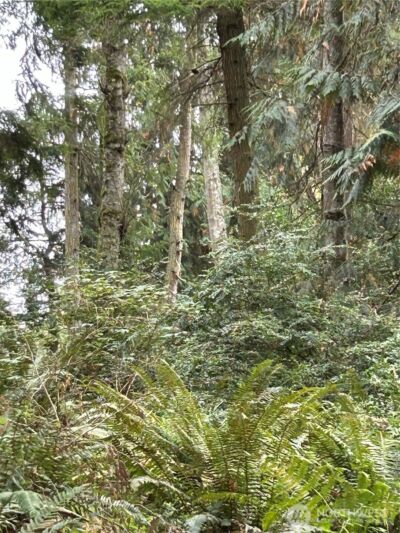 0 Lot 15 W Shore Drive , Lake Cavanaugh, WA 98274 - Photo 7