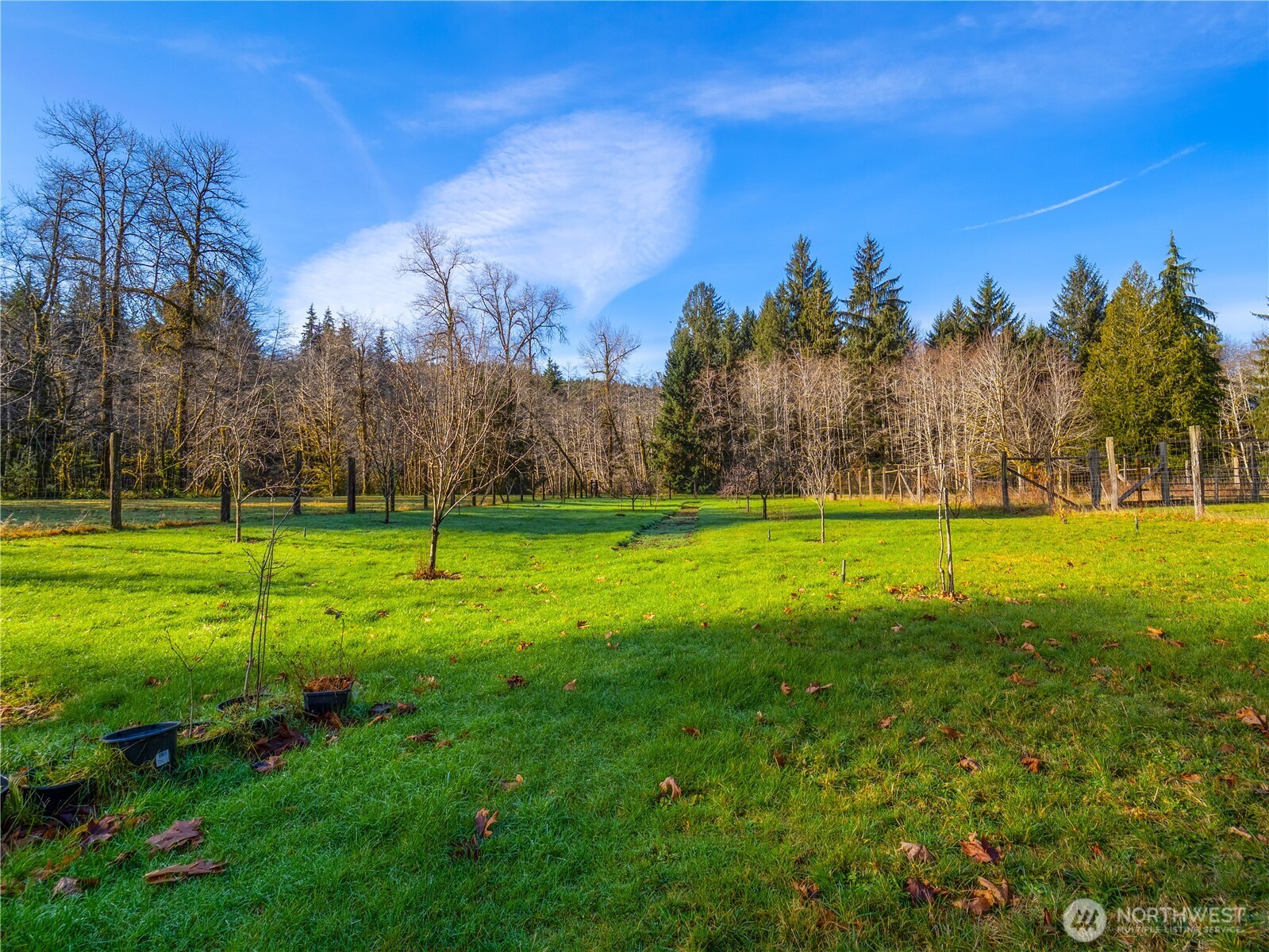 2298 Undie Road , Forks, WA 98331