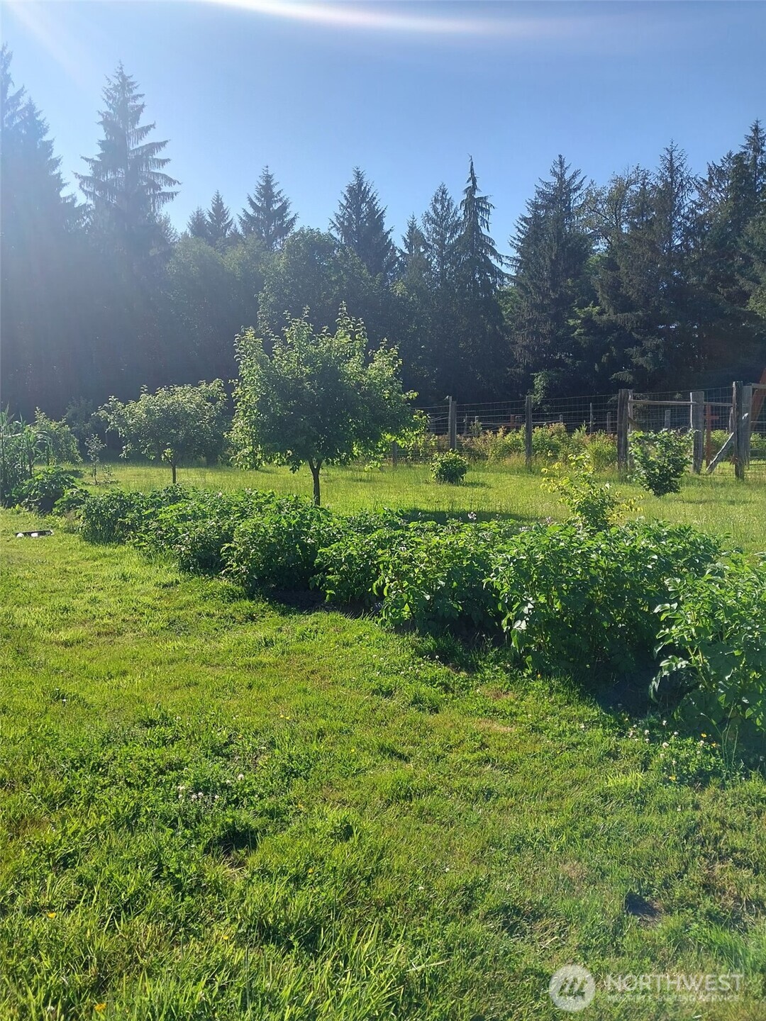 2298 Undie Road , Forks, WA 98331