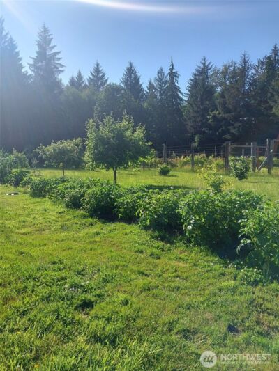 2298 Undie Road , Forks, WA 98331 - Photo 36