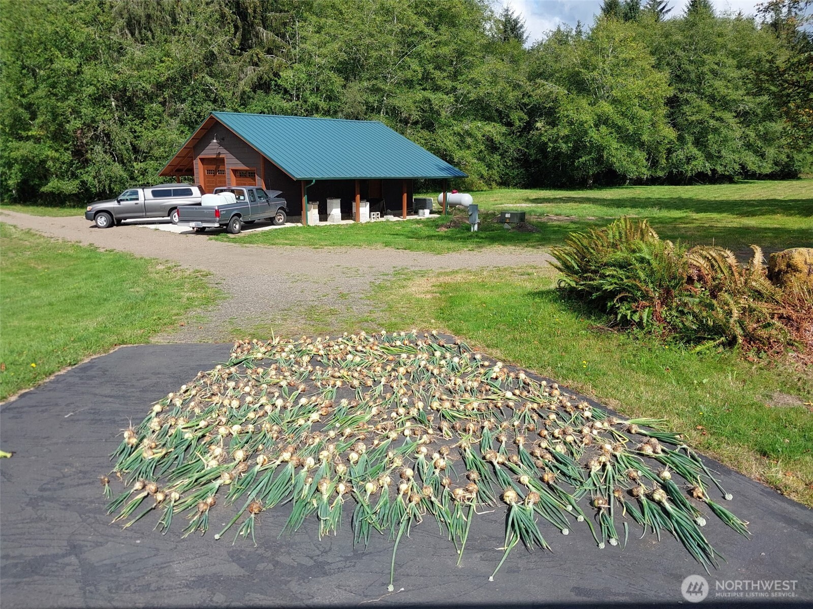 2298 Undie Road , Forks, WA 98331