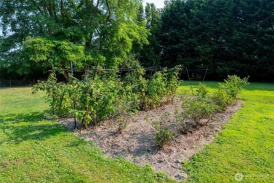 16785 Britt Road , Mount Vernon, WA 98273 - Photo 35