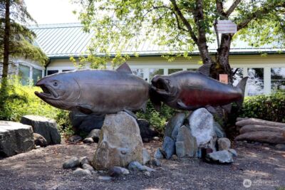 250 NW Dogwood Street #C201, Issaquah, WA 98027 - Photo 30