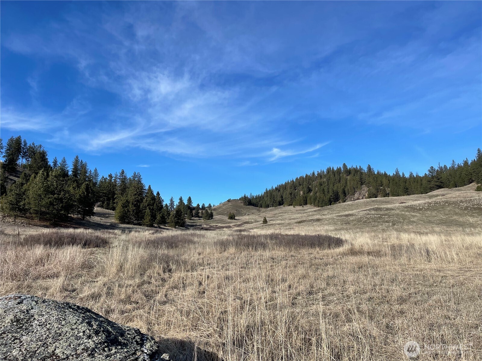 5170 Pheasant Way , Fruitland, WA 99129