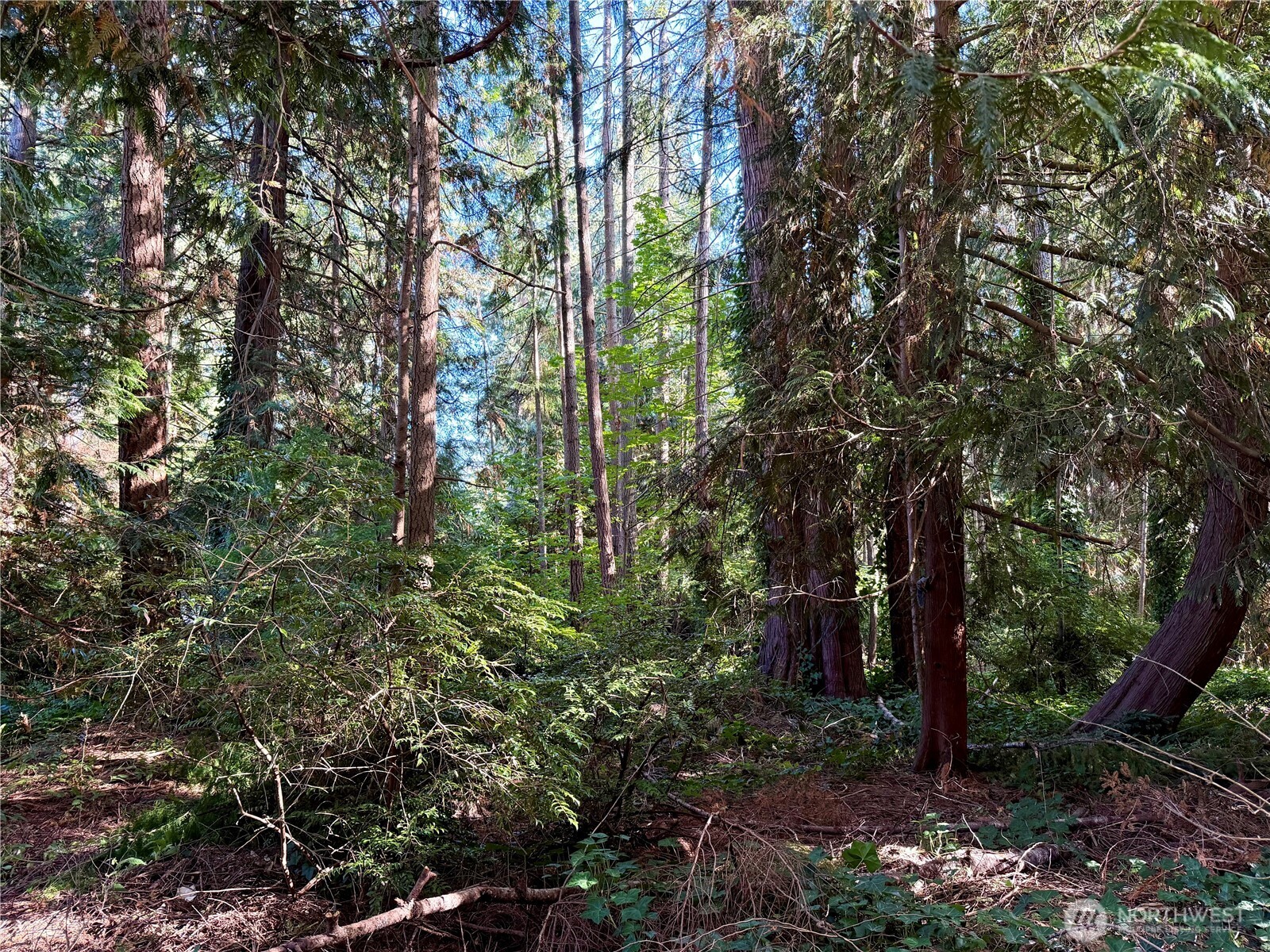 3813 70th Avenue NW, Gig Harbor, WA 98335-6489