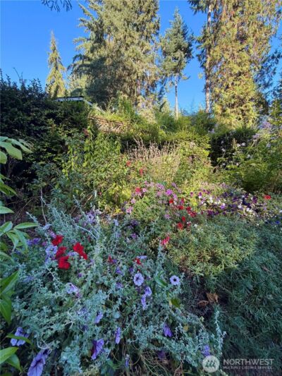 3813 70th Avenue NW, Gig Harbor, WA 98335-6489 - Photo 34