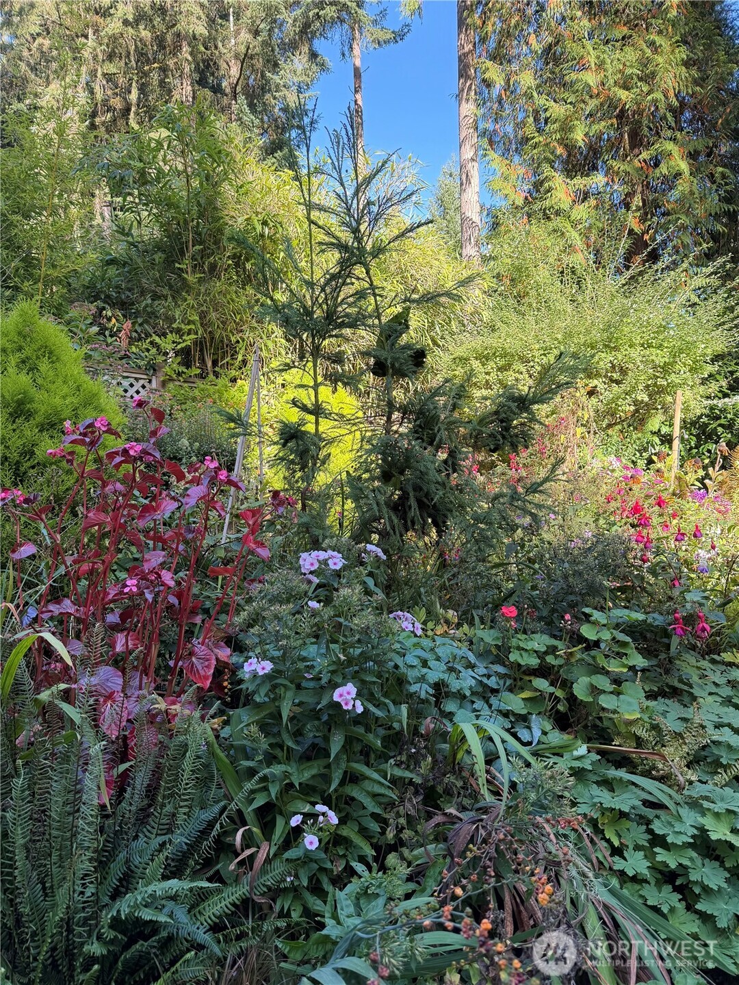 3813 70th Avenue NW, Gig Harbor, WA 98335-6489