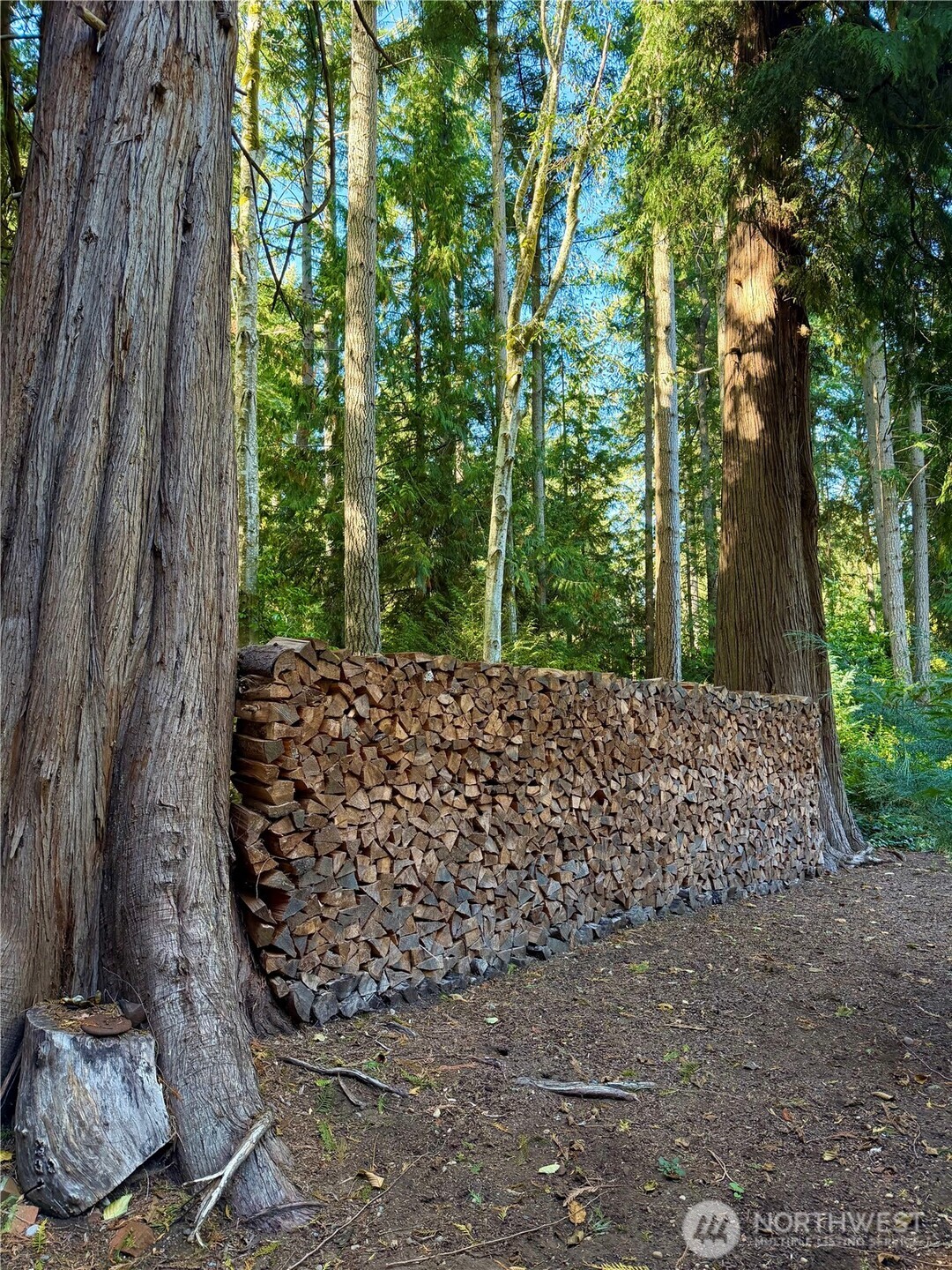 3813 70th Avenue NW, Gig Harbor, WA 98335-6489