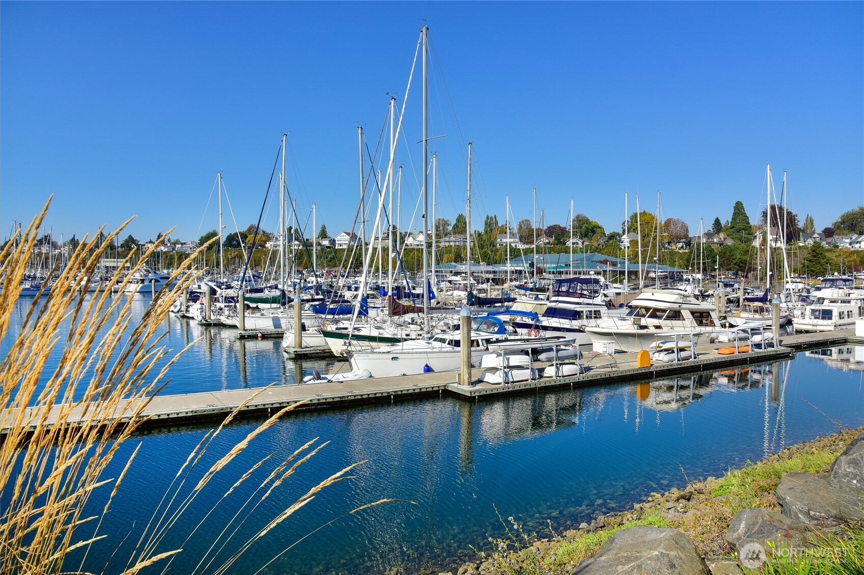 819 High Street #317, Bellingham, WA 98225