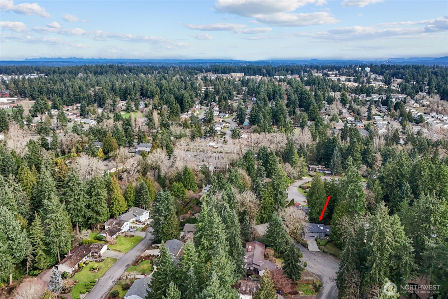 1044 145th Place NE, Bellevue, WA 98007