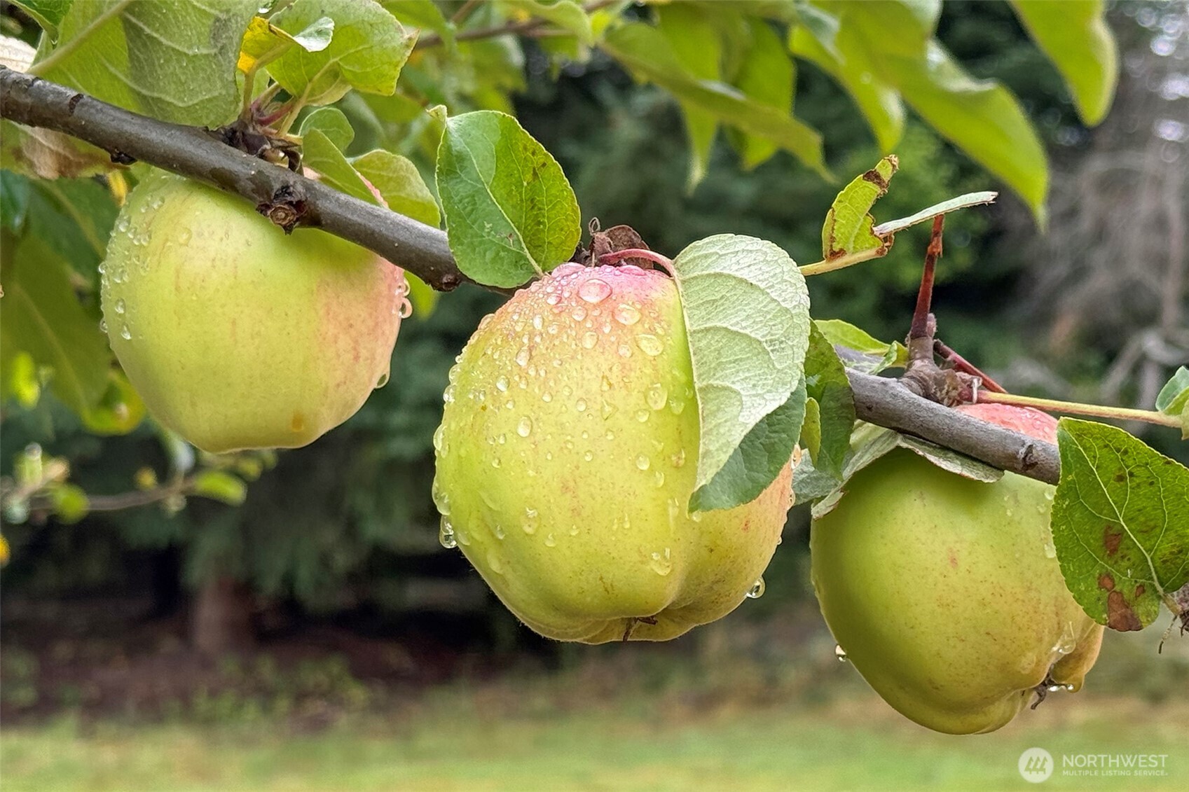 3951 S TYLER Road , Port Angeles, WA 98363