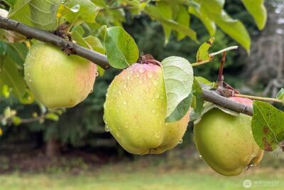 3951 S TYLER Road , Port Angeles, WA 98363 - Photo 35